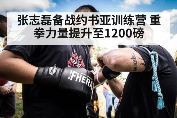 张志磊备战约书亚训练营 重拳力量提升至1200磅