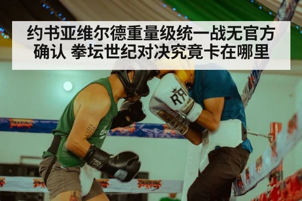约书亚维尔德重量级统一战无官方确认 拳坛世纪对决究竟卡在哪里